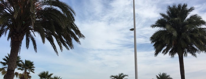 Gandia Beach is one of Gandia.