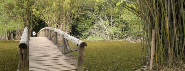 Jardim Botânico is one of Coisas pra fazer em Poa.