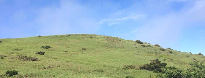 만세동산 is one of 제주 Jeju.