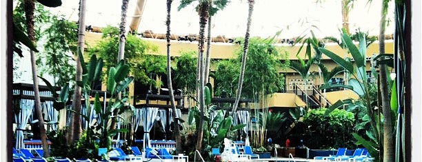 Harrah's Resort Hotel & Casino is one of Lugares favoritos de Terri.
