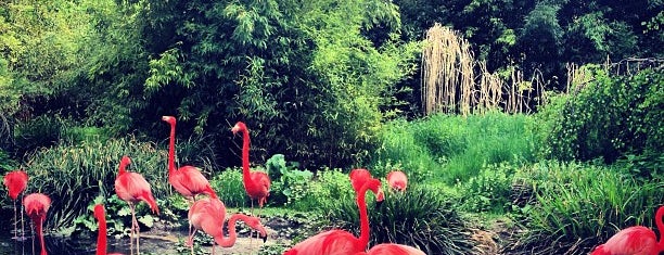 Jardin des Plantes is one of Paris.