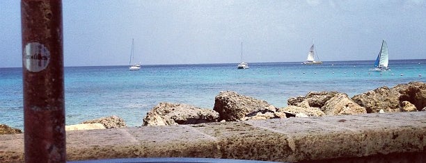 Coral Reef Club Hotel is one of Barbados - Free WiFi.