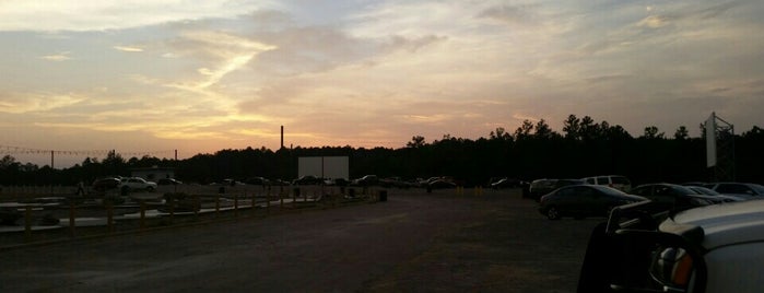 Grand River Drive-in is one of B'ham To Do.