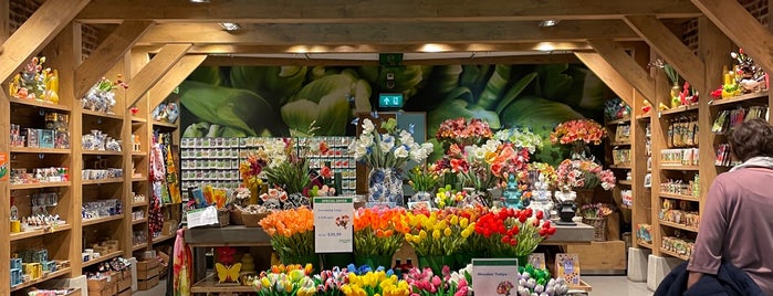 House of Tulips is one of Schipol Airport Amsterdam.
