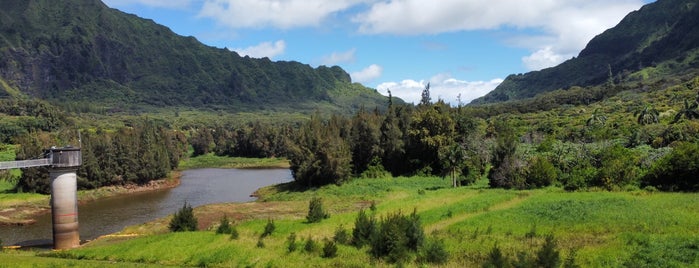 Honolulu Watershed Forest Reserve is one of Hawai'i.