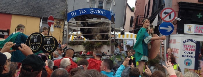 Puck Fair is one of Ireland To Do.