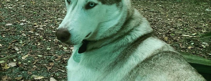 Fairmont Dog Park (FIDO's Backyard) is one of TN Dog Parks.