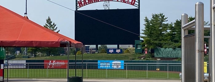 Hammons Field is one of Minor League Ballparks.