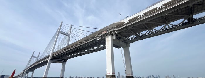 Yokohama Bay Bridge is one of 渡った橋（東日本）.
