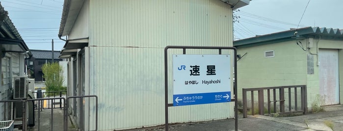 Hayahoshi Station is one of 東日本・北日本の貨物取扱駅.