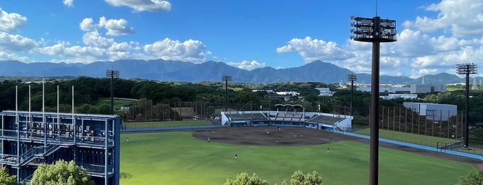 星槎中井スタジアム is one of baseball stadiums.