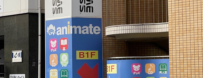 animate is one of ショッピング 行きたい.
