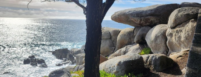Pescadero Point is one of Monterey.