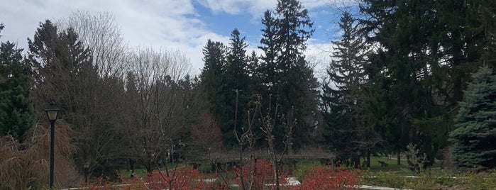 Rosetta McLain Gardens is one of Summer 2021 - Arjola.