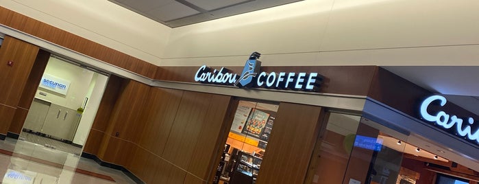 Caribou Coffee is one of All-time favorites in United States.