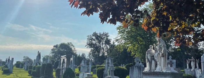 Mount Hope Catholic Cemetery is one of Things to Do in Toronto.