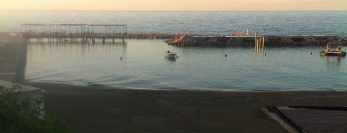 Mey Blue is one of Girne.