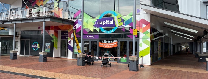 Capital E is one of Kids things to do in Wellington NZ.