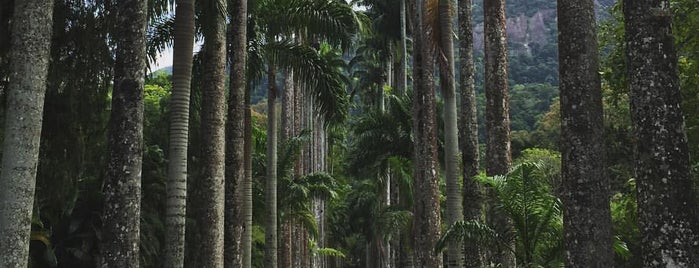 Jardim Botânico do Rio de Janeiro is one of caribbean/south america list.
