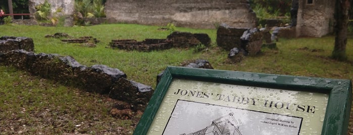 Tabby Ruins At Wormsloe is one of Locais curtidos por Jesse.