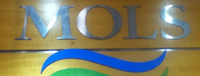 T/C "Mols" is one of สถานที่ที่ Deniss ถูกใจ.