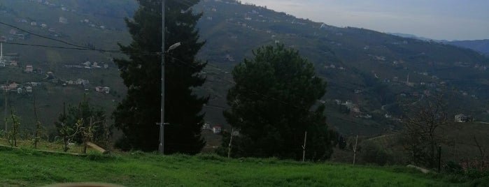 Mağmat Geçit Köyü is one of Trabzon.