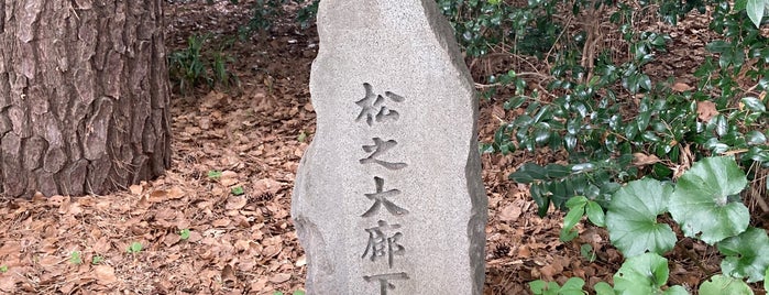 Site of the Matsu no Oroka Corridor is one of 江戸城.