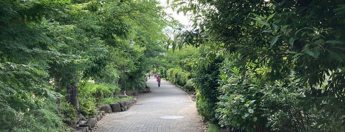 元町東公園 is one of 高い鉄棒がある公園.