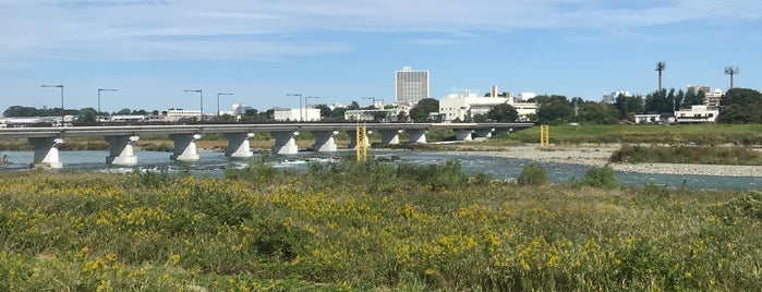 多摩川  日野橋付近 is one of Lieux qui ont plu à Yuzuki.