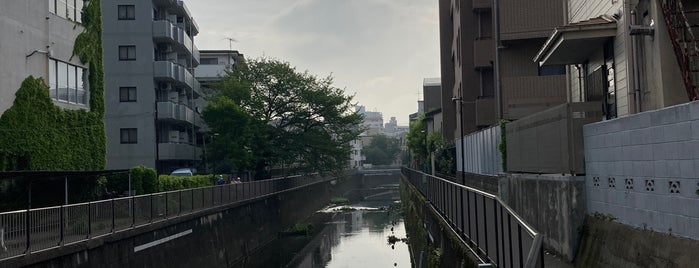 置田橋 is one of 善福寺川に架かる橋.