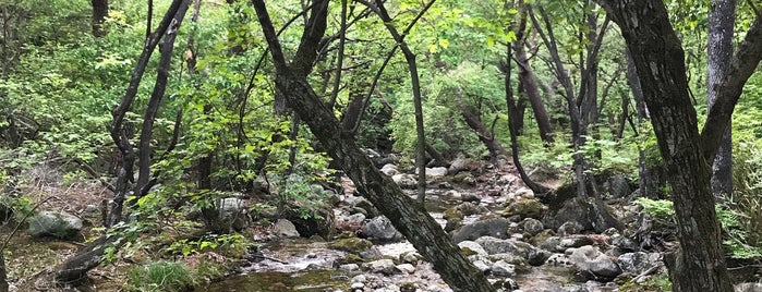 치악산 국립공원 is one of สถานที่ที่ Kaeinux ถูกใจ.