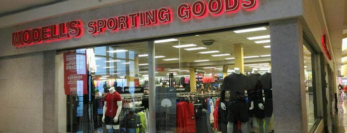 Modell's Sporting Goods is one of SHOPPING.