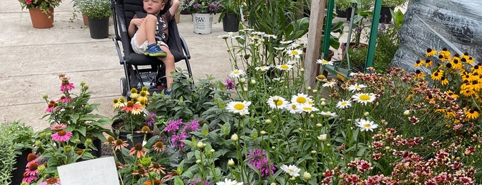 Diyarza Landscaping Garden Center is one of The 15 Best Places with Garden Center in Brooklyn.