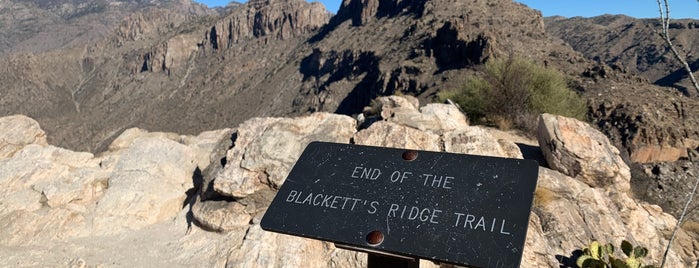 Blackett's Ridge is one of Tucson.