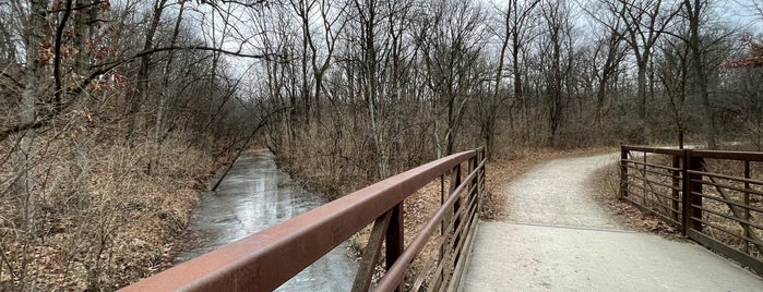 Teason's Woods is one of Cook County Woods.
