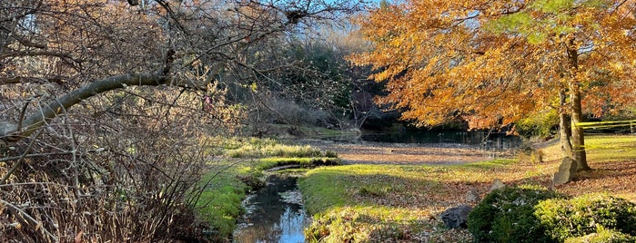 Laurelwood Arboretum is one of Jerz.