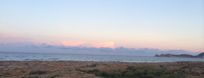 Saona is one of Alacant província.