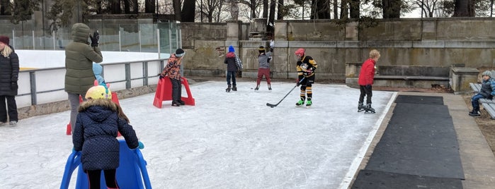 larz anderson skating rink is one of Global Favorites.