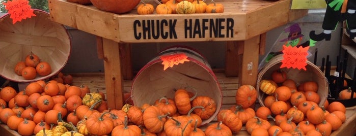 Chuck Hafner's Farmers Market and Garden Center is one of Craig’s Liked Places.