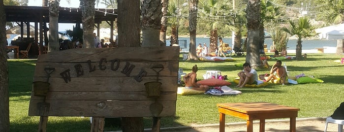 Selvi Beach Otel is one of Bodrum2.