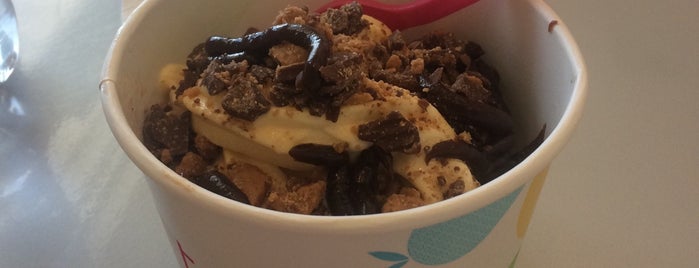 TCBY is one of The 15 Best Places for Vanilla in Charleston.