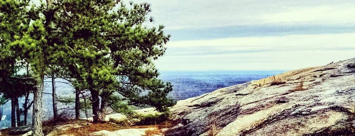 Stone Mountain Summit is one of Into the wild.
