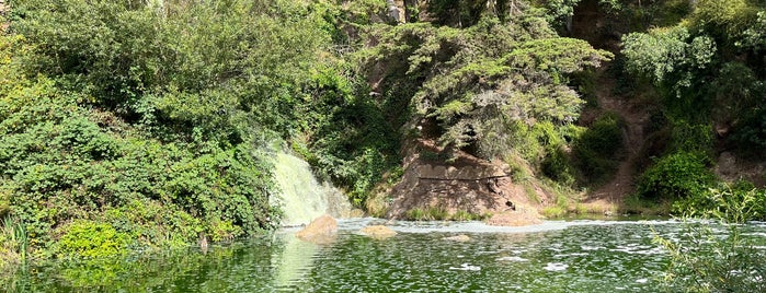 Prayerbook Falls is one of Parks of San Francisco.