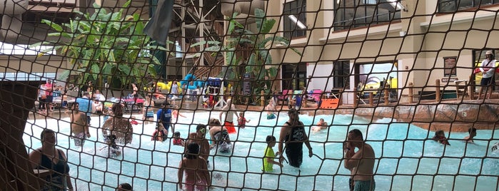 Wild Water Dome is one of places.