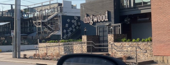 The Dogwood is one of HTown Bar Scene.