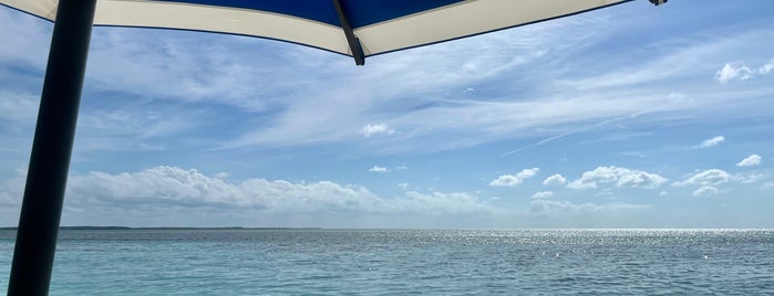 Perfect Day At Coco Cay is one of Tempat yang Disukai Wesley.