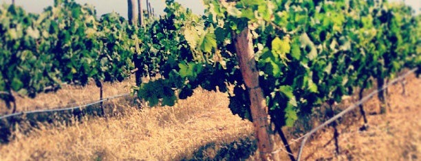 Valle de Guadalupe is one of SD To Do.