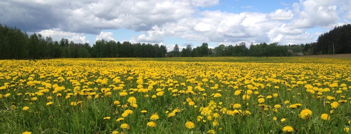 Церковь Рождества Богородицы в Рождественно is one of храмы.