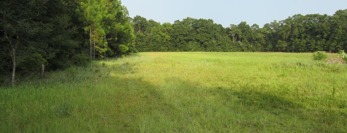 Taylor Creek Sporting Clays is one of Family Fun (Shared).