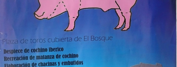 El Bosque is one of Lugares favoritos de Sebastian.